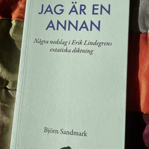 Jag är en annan. Nåra nedslag i Erik Lindegrens extatiska diktning