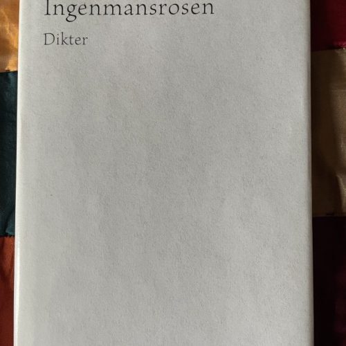 Ingenmansrosen